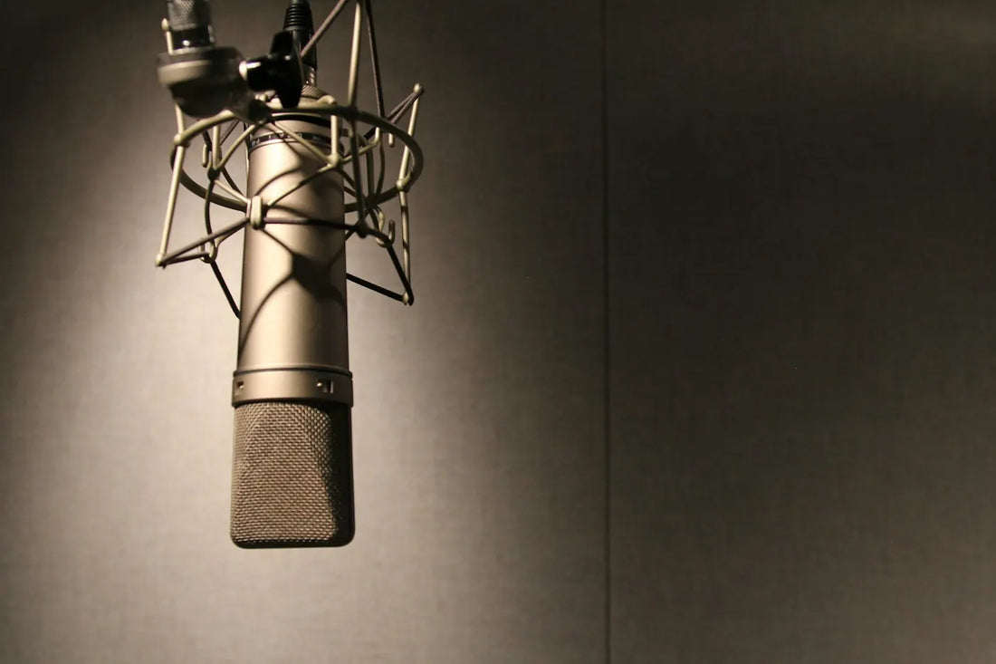 Micro de studio à condensateur sur sa suspension