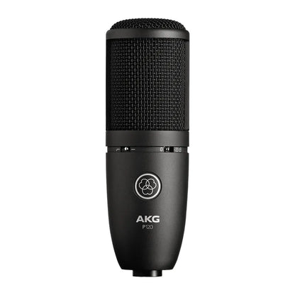 Micro studio statique AKG P120